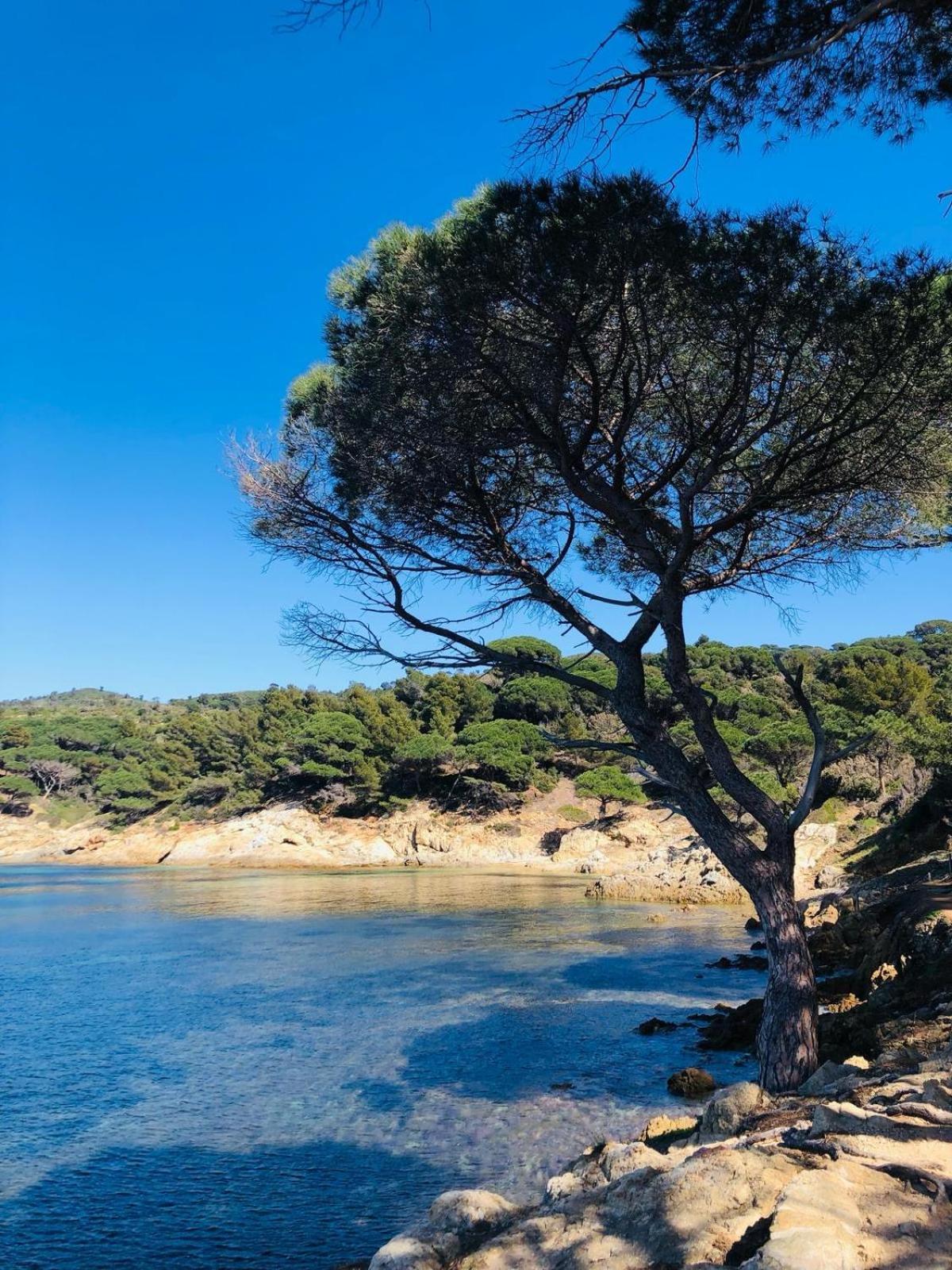 Studio Pool House Vue Mer A 180° - Sea View- Wifi La Croix-Valmer Esterno foto