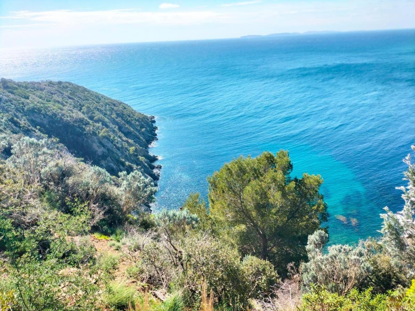 Studio Pool House Vue Mer A 180° - Sea View- Wifi La Croix-Valmer Esterno foto